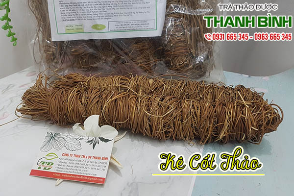 kê cốt thảo thảo dược thanh bình