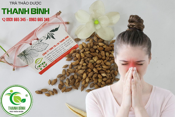 ké đầu ngựa thảo dược Thanh Bình