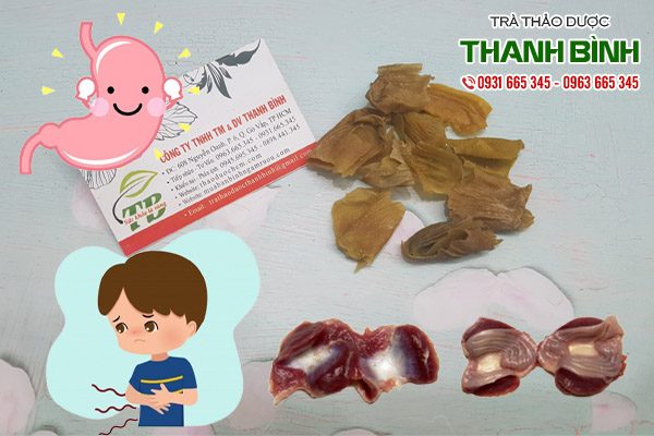 kê nội kim tại thảo dược Thanh Bình