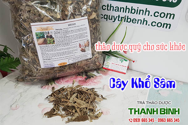 cây khổ sâm thảo dược thanh bình