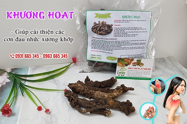 Khương hoạt Thảo Dược Thanh Bình