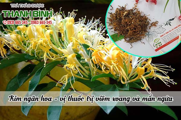 kim ngân hoa thảo dược thanh bình