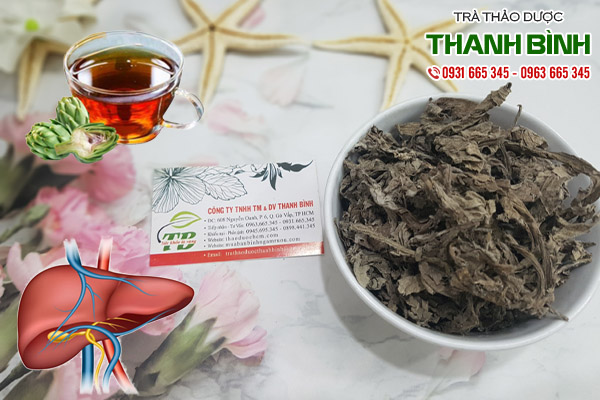 lá atiso tại thảo dược Thanh Bình