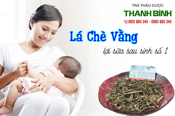 lá chè vằng thảo dược thanh bình