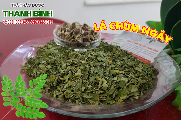 lá chùm ngây thảo dược thanh bình