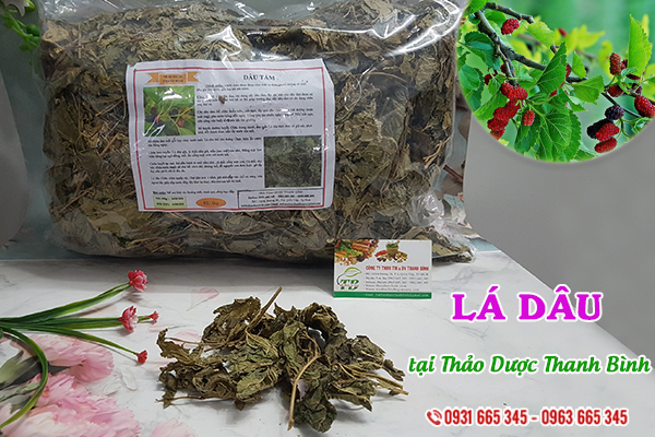 Lá dâu Thảo Dược Thanh Bình