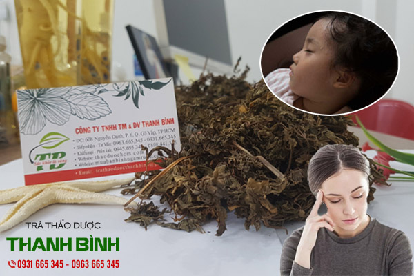 lá đinh lăng thảo dược thanh bình