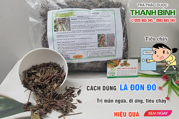 Lá đơn đỏ Thảo Dược Thanh Bình