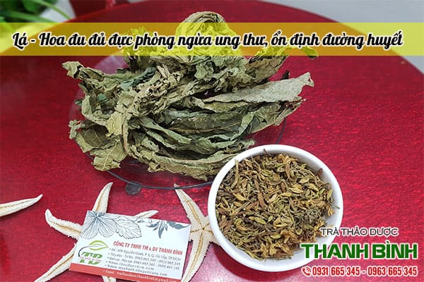 lá đu đủ đực thảo dươc thanh bình