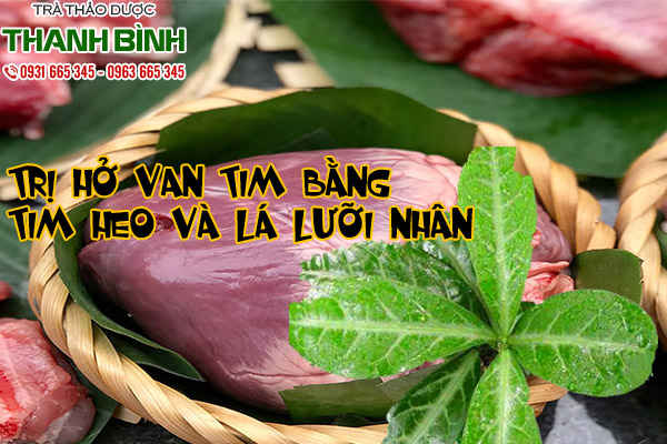 lá lưỡi nhân tại thảo dược Thanh Bình