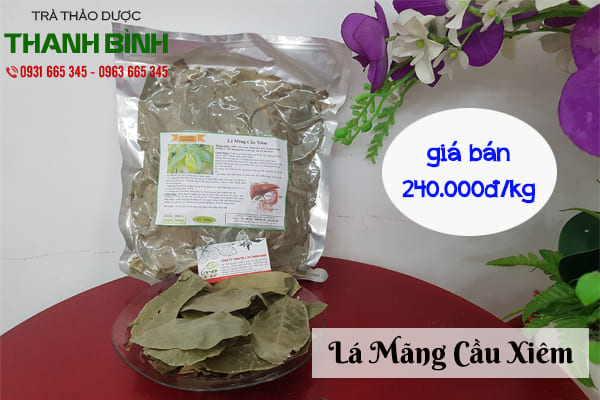 lá mãng cầu xiêm thảo dược thanh bình