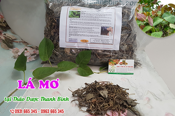 Lá mơ Thảo Dược Thanh Bình