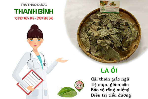 Lá ổi Thảo Dược Thanh Bình