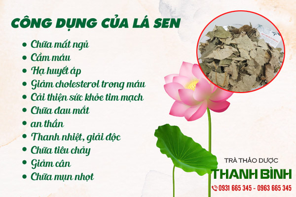 lá sen khô thảo dược thanh bình