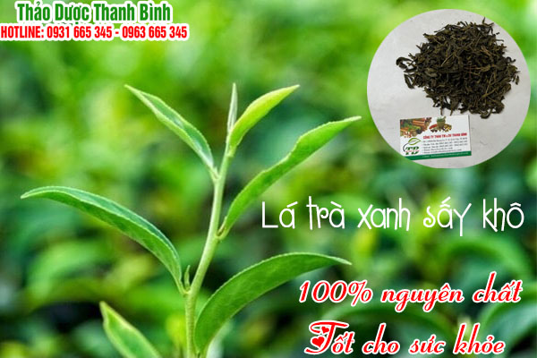 lá trà xanh sấy khô thảo dược thanh bình