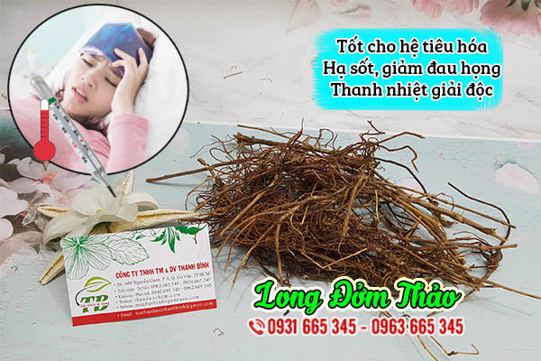 long đởm thảo thảo dược thanh bình