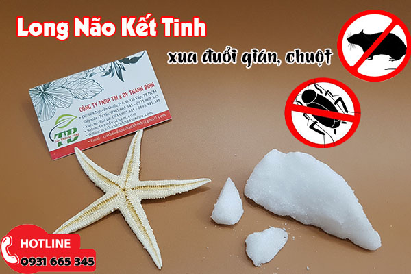 long não kết tinh thảo dược thanh bình