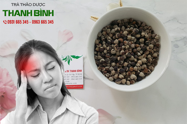mạn kinh tử tại thảo dược Thanh Bình