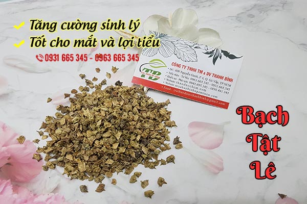 bạch tật lê thảo dược thanh bình