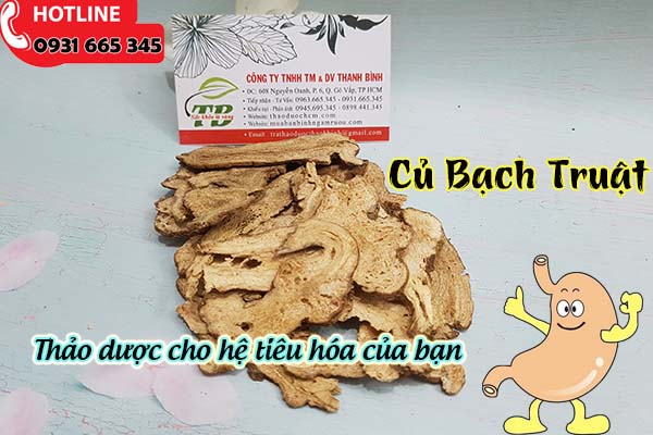 củ bạch truật thảo dươc thanh bình