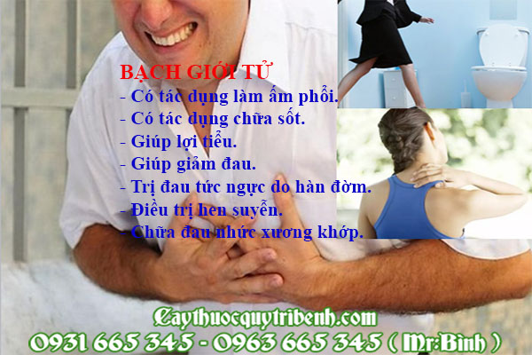 bạch giới tử