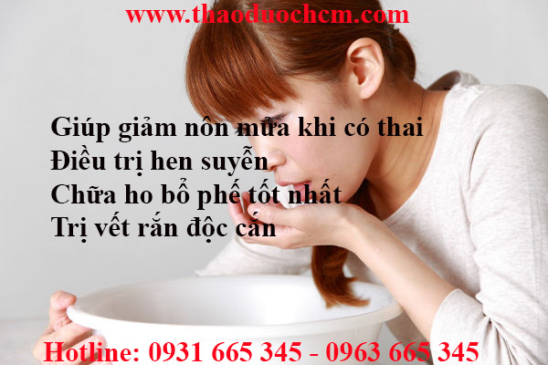 bán hạ