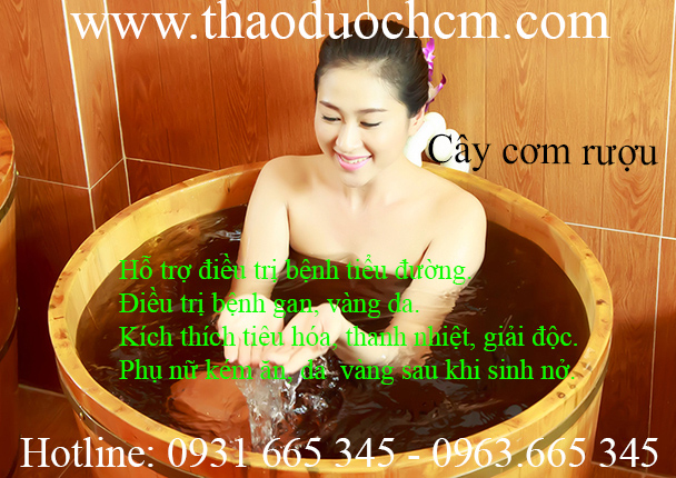 mua-ban-cay-com-ruou-uy-tin-tai-tp-hcm