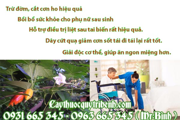 dây cứt quạ