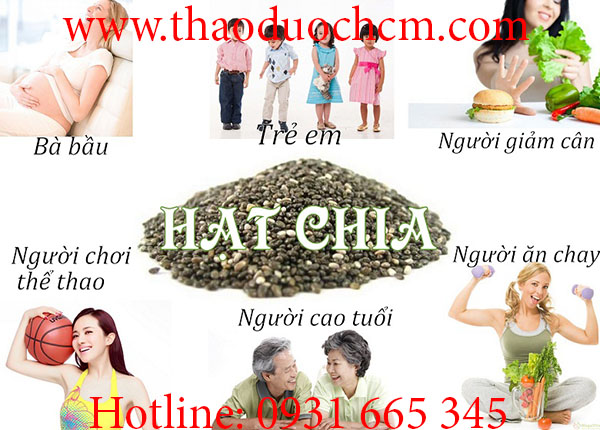 hạt chia