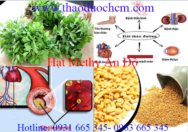 hạt methi ấn độ