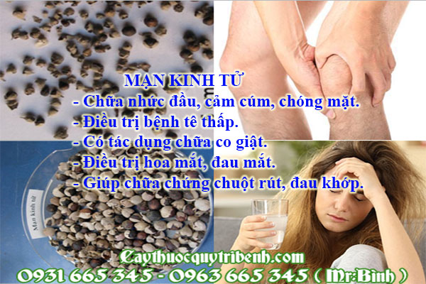 mạn kinh tử