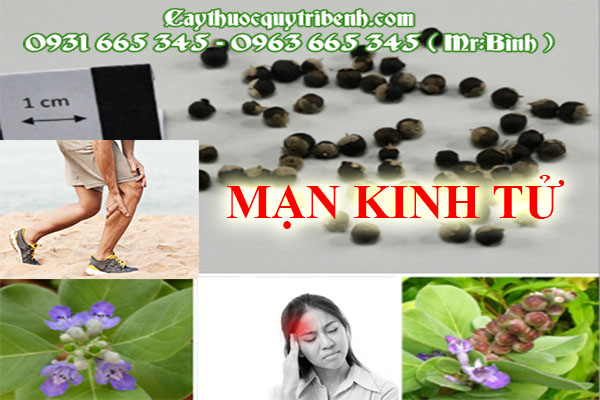 mạn kinh tử