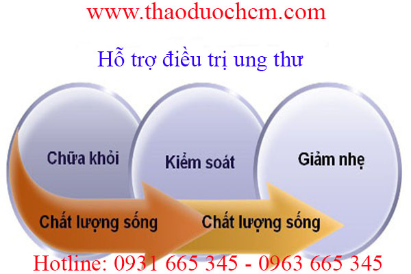 nấm trúc