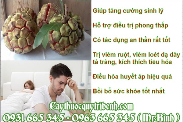 quả na rừng