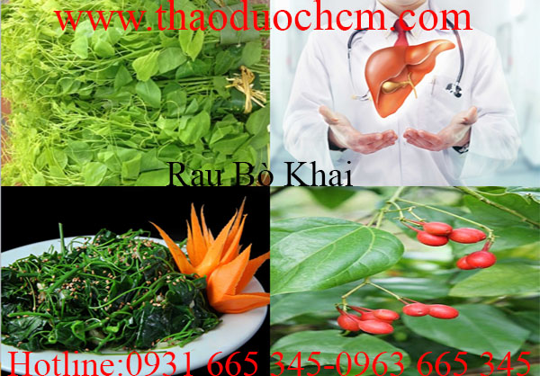 mua-ban-rau-bo-khai-chat-luong-tai-tp-hcm