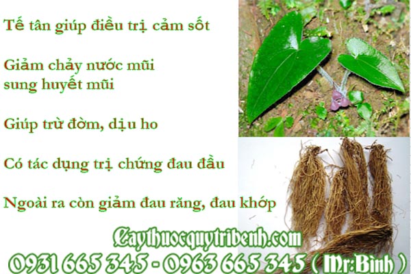 tế tân