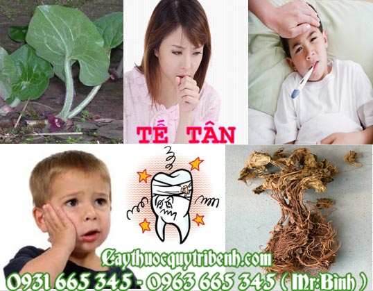 tế tân