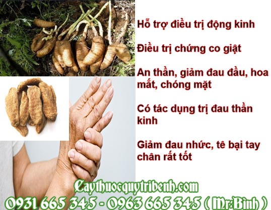 thiên ma