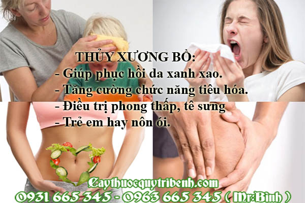 thủy xương bồ