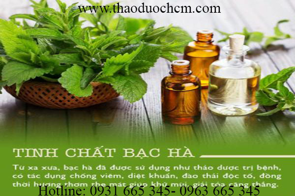 mua-ban-tinh-dau-bac-ha-chat-luong-tai-tp-hcm