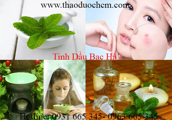 mua-ban-tinh-dau-bac-ha-uy-tin-chat-luong-tai-tp-hcm