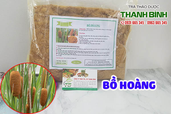 bồ hoàng thảo dược thanh bình