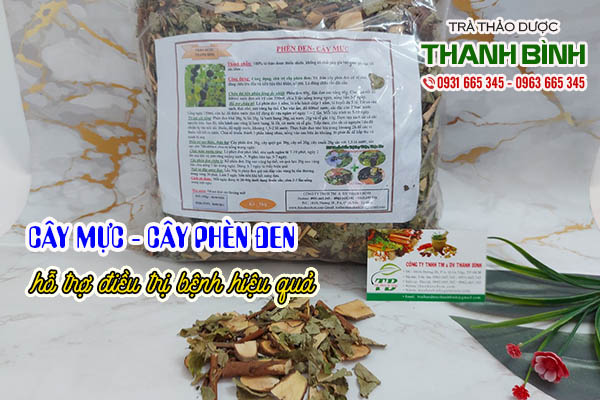 cây phèn đen thảo dược thanh bình