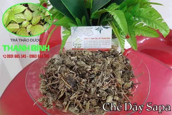 chè dây thảo dược thanh bình