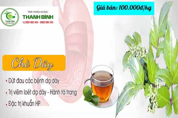 chè dây thảo dược thanh bình