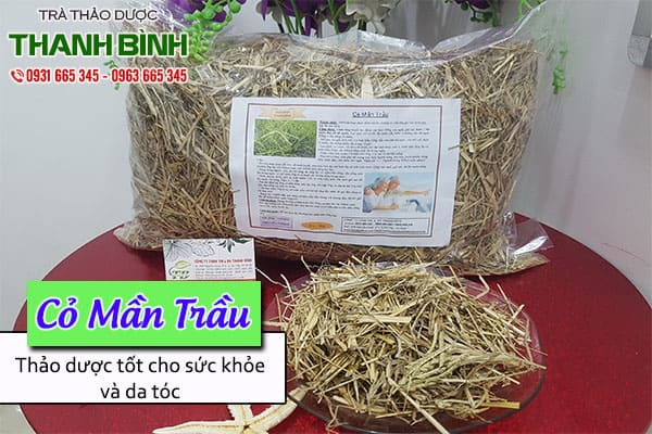 cỏ mần trầu thảo dược thanh bình