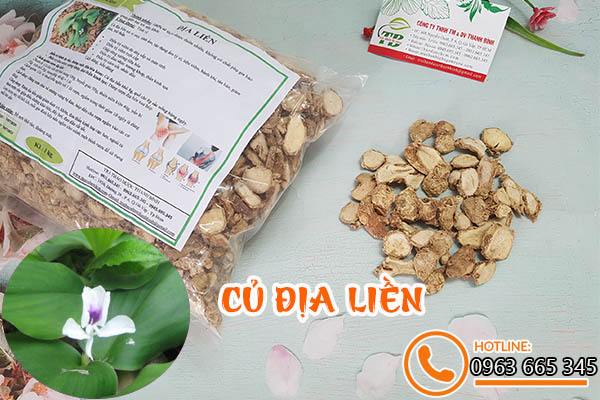 củ địa liền thảo dược thanh bình