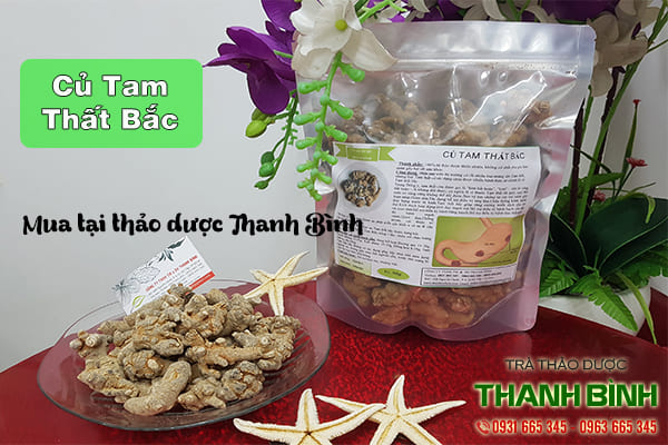 củ tam thất bắc thảo dược thanh bình