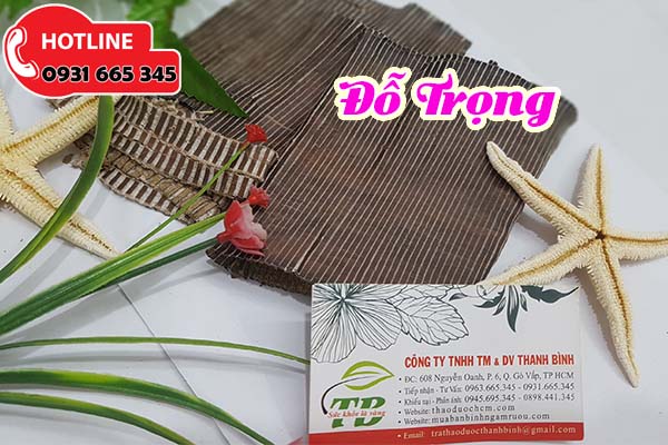 đỗ trọng thảo dược thanh bình