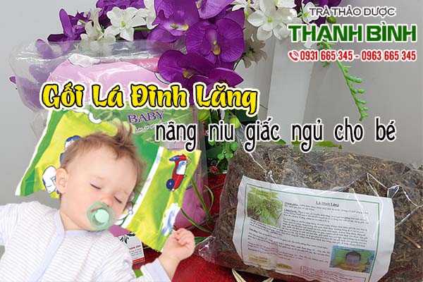 gối lá đinh lăng thảo dược thanh bình